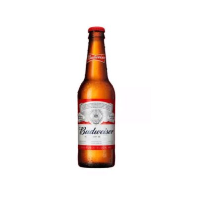 Bud Light 330ml NRB